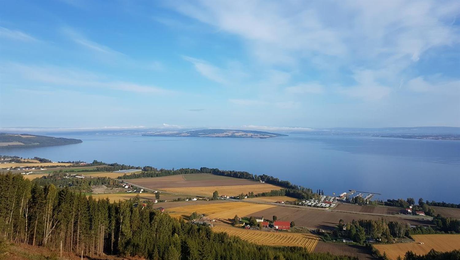 Hervenknappen nær Evjua Strandpark 3