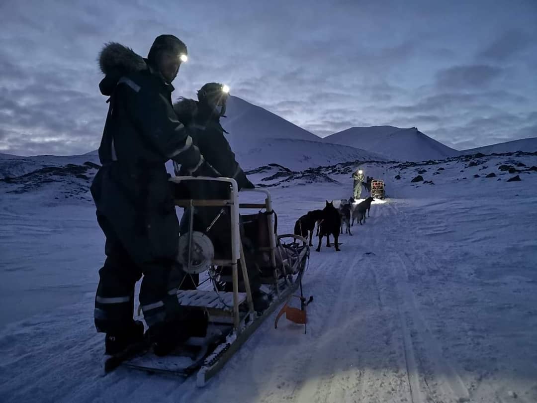 To personer på en hundeslede som ser bak mot kameraet