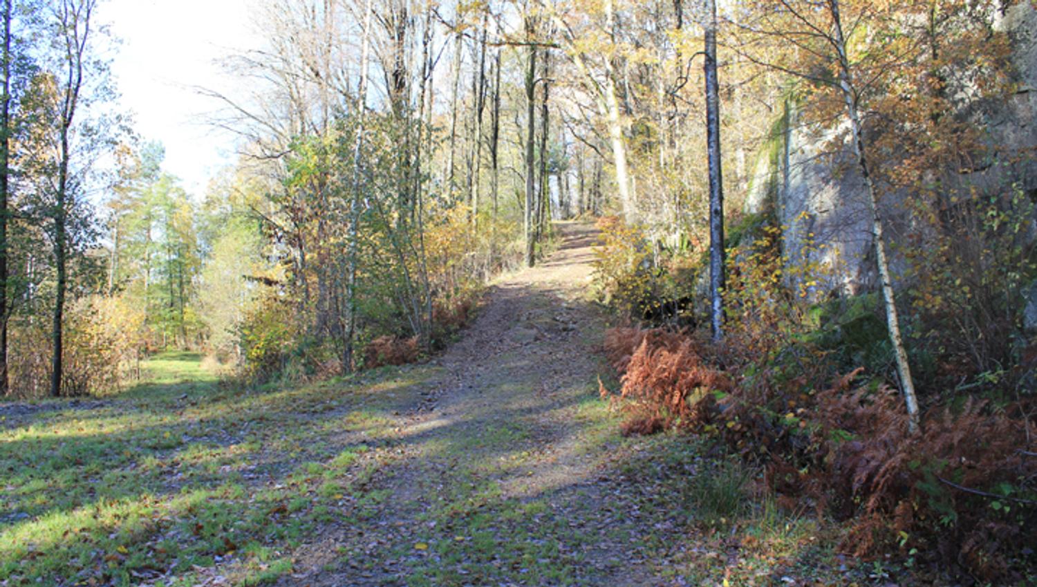 Månen