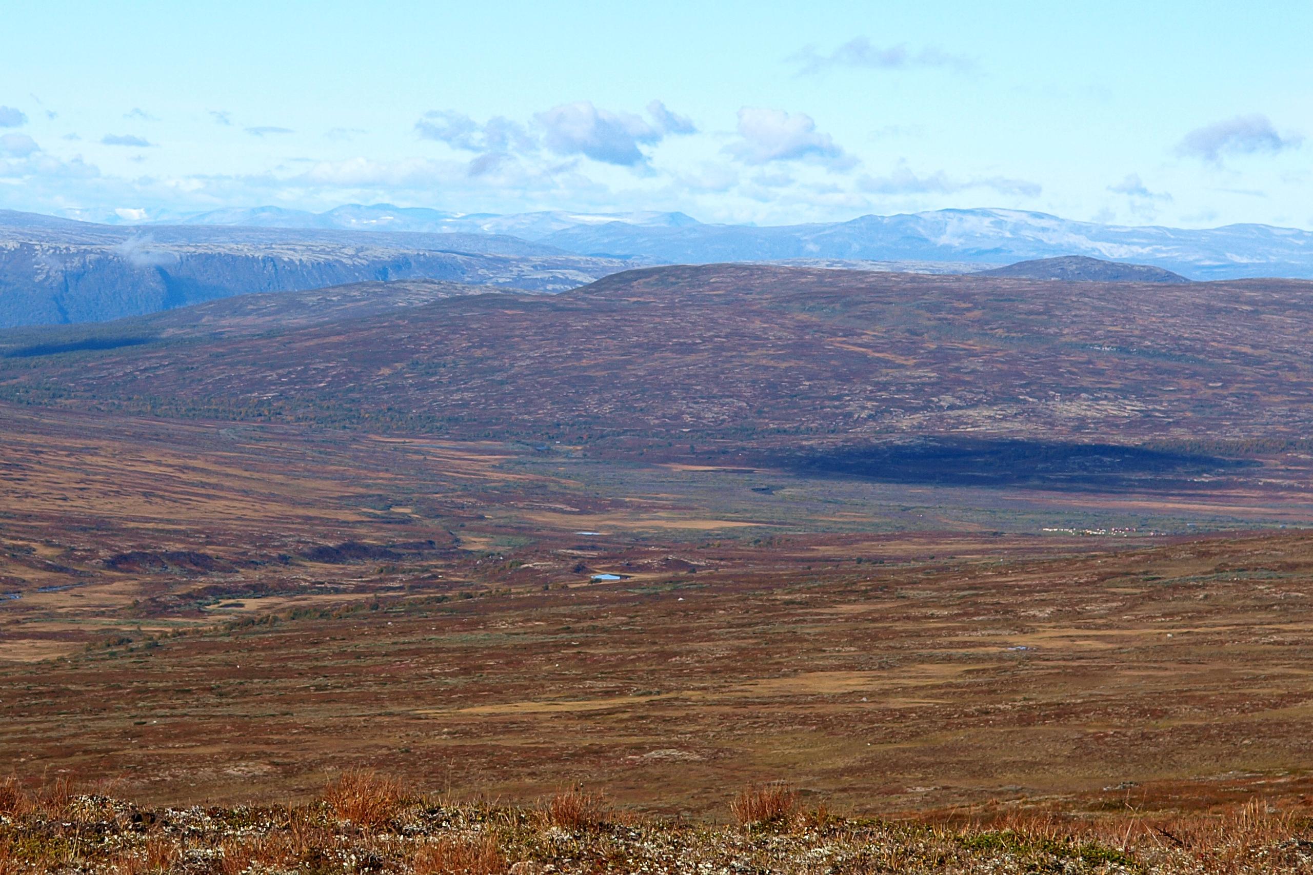 Grønntjønnan naturreservat
