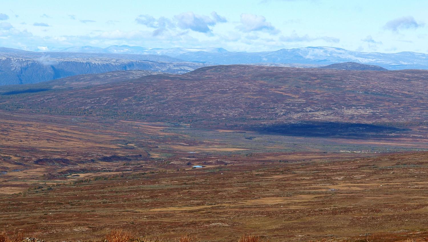 Grønntjønnan naturreservat