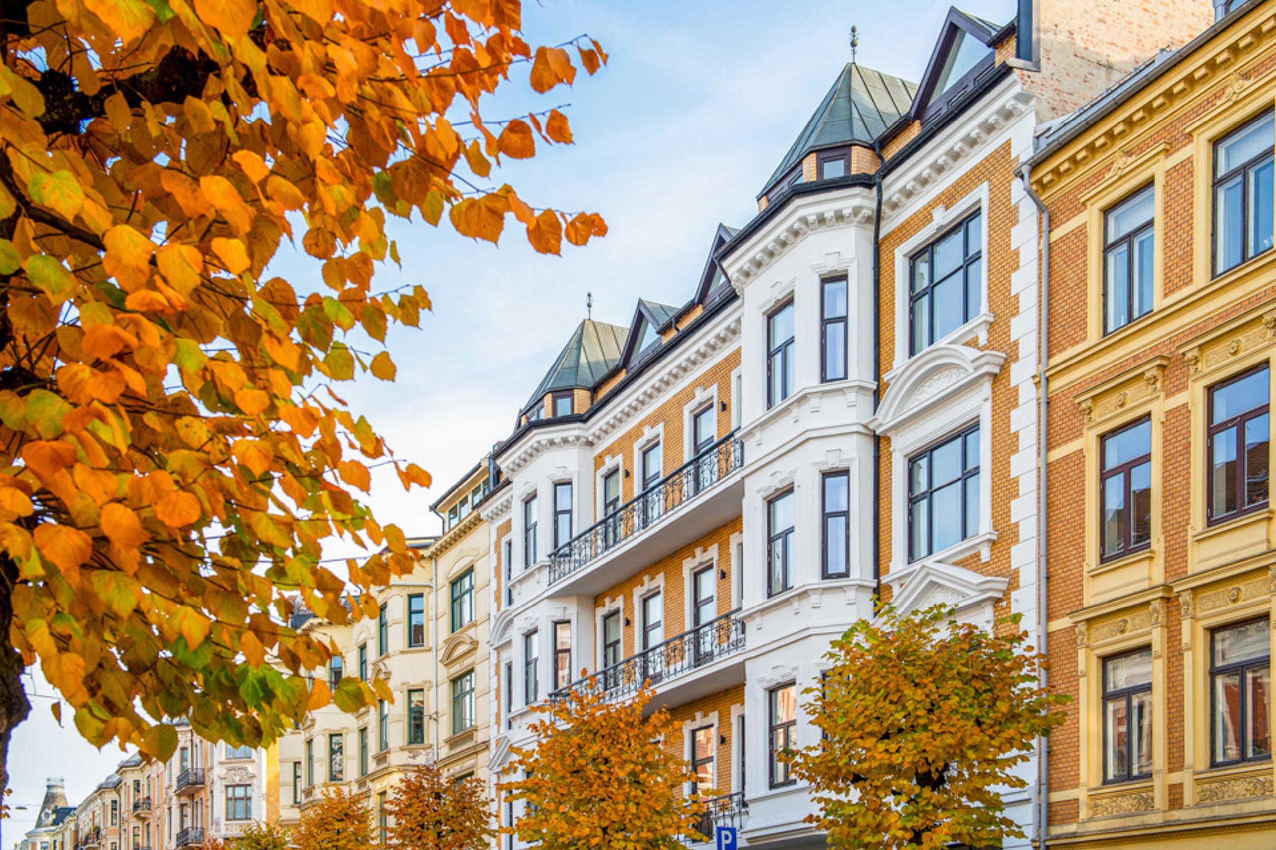 facade and fall trees in Skovveien street.