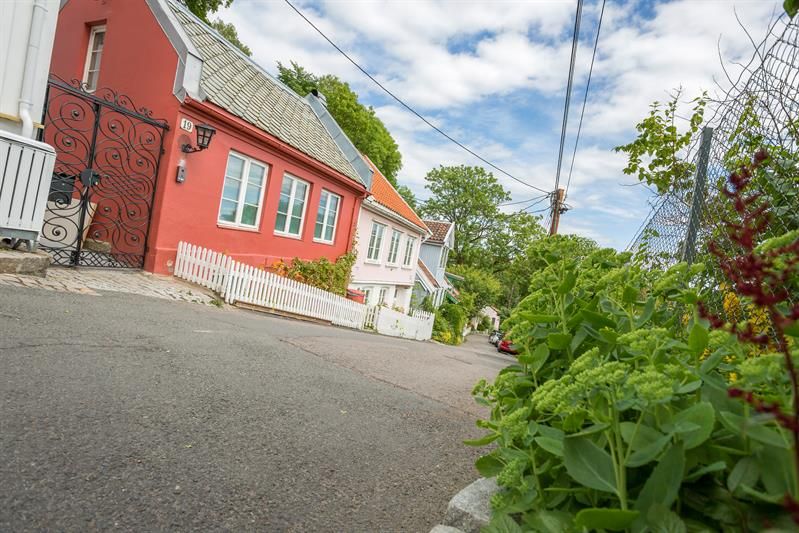 Telthusbakken with old houses on one side and an allotment garden on the other.