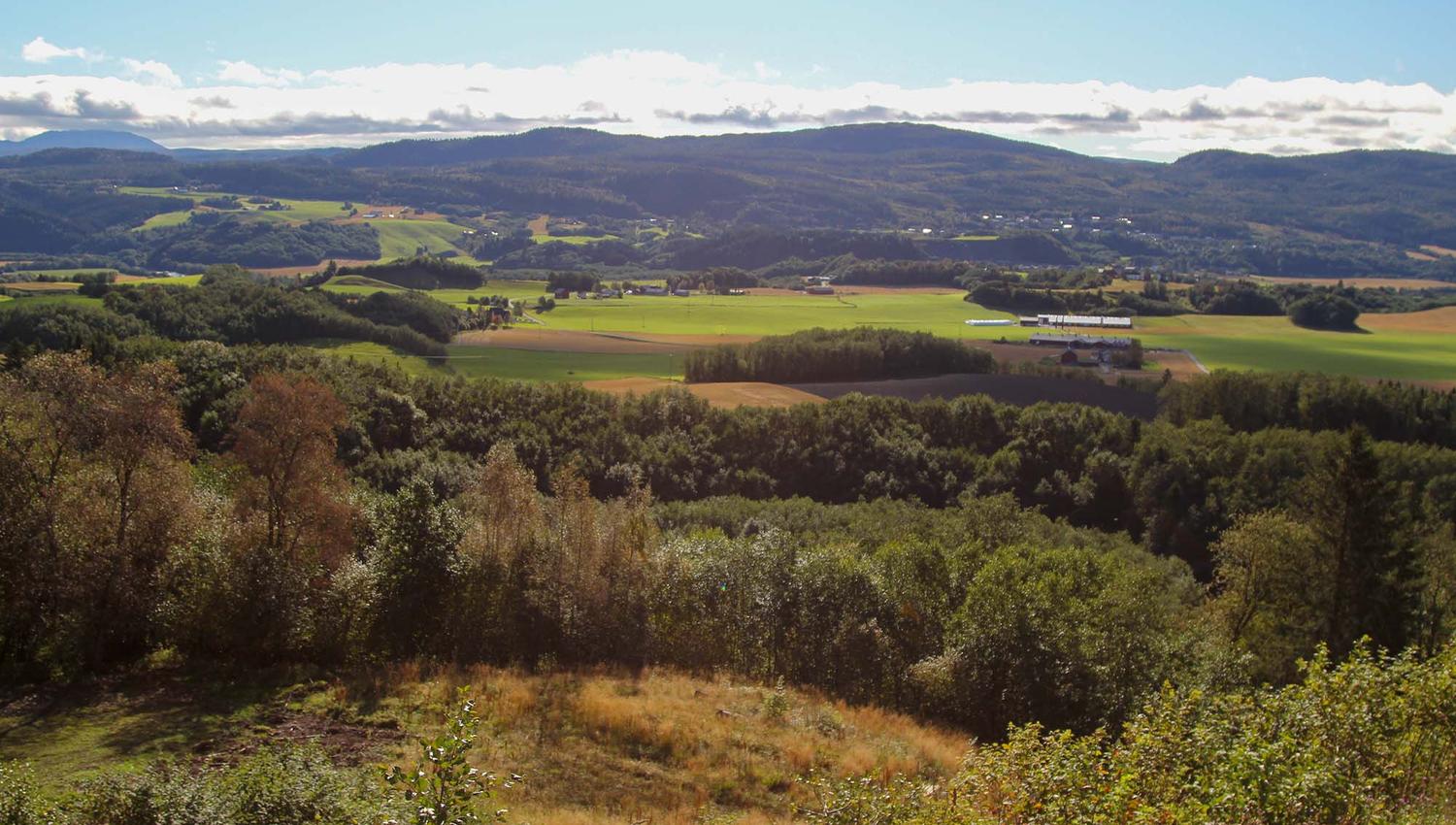verdal minnesmerke leirådalen (11)WEB