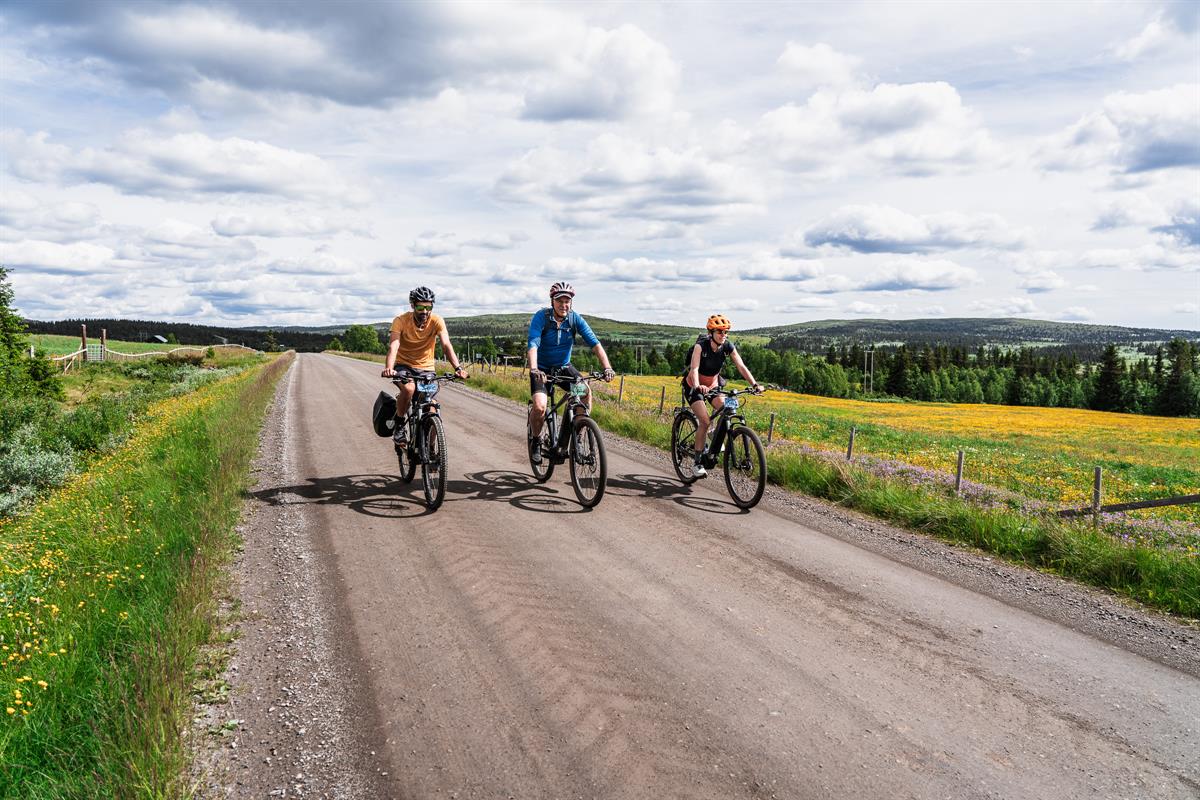 Drei Radfahrer fahren auf einem Schotterweg durch eine Wiese voller gelber und lila Wildblumen.