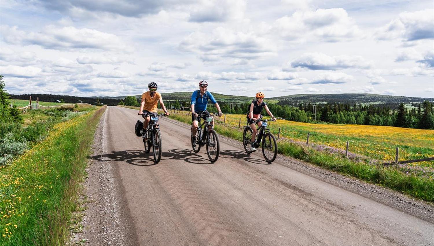 Drei Radfahrer fahren auf einem Schotterweg durch eine Wiese voller gelber und lila Wildblumen.