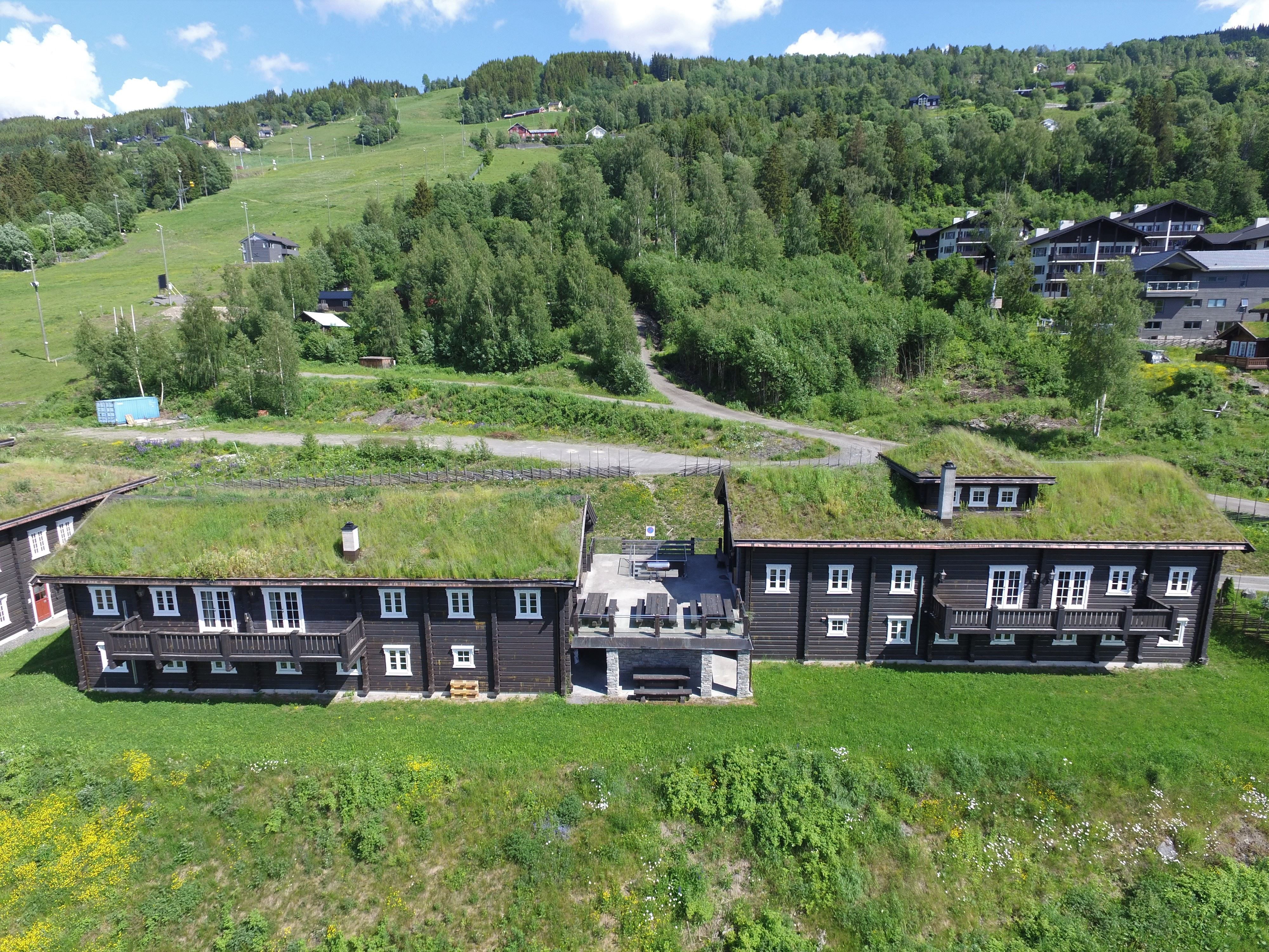 Flygbild av mörka fjällstugor med gröna sedumtak, gräsmatta i förgrunden och skogsklädda sluttningar bakom.