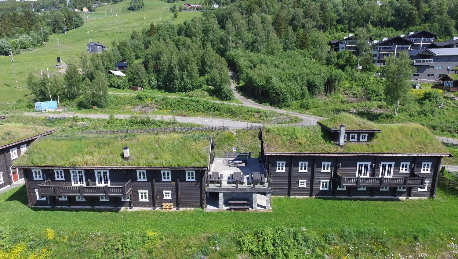 Flygbild av mörka fjällstugor med gröna sedumtak, gräsmatta i förgrunden och skogsklädda sluttningar bakom.