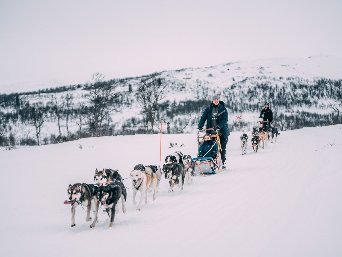 dog sledding with Telemark Husky Tour