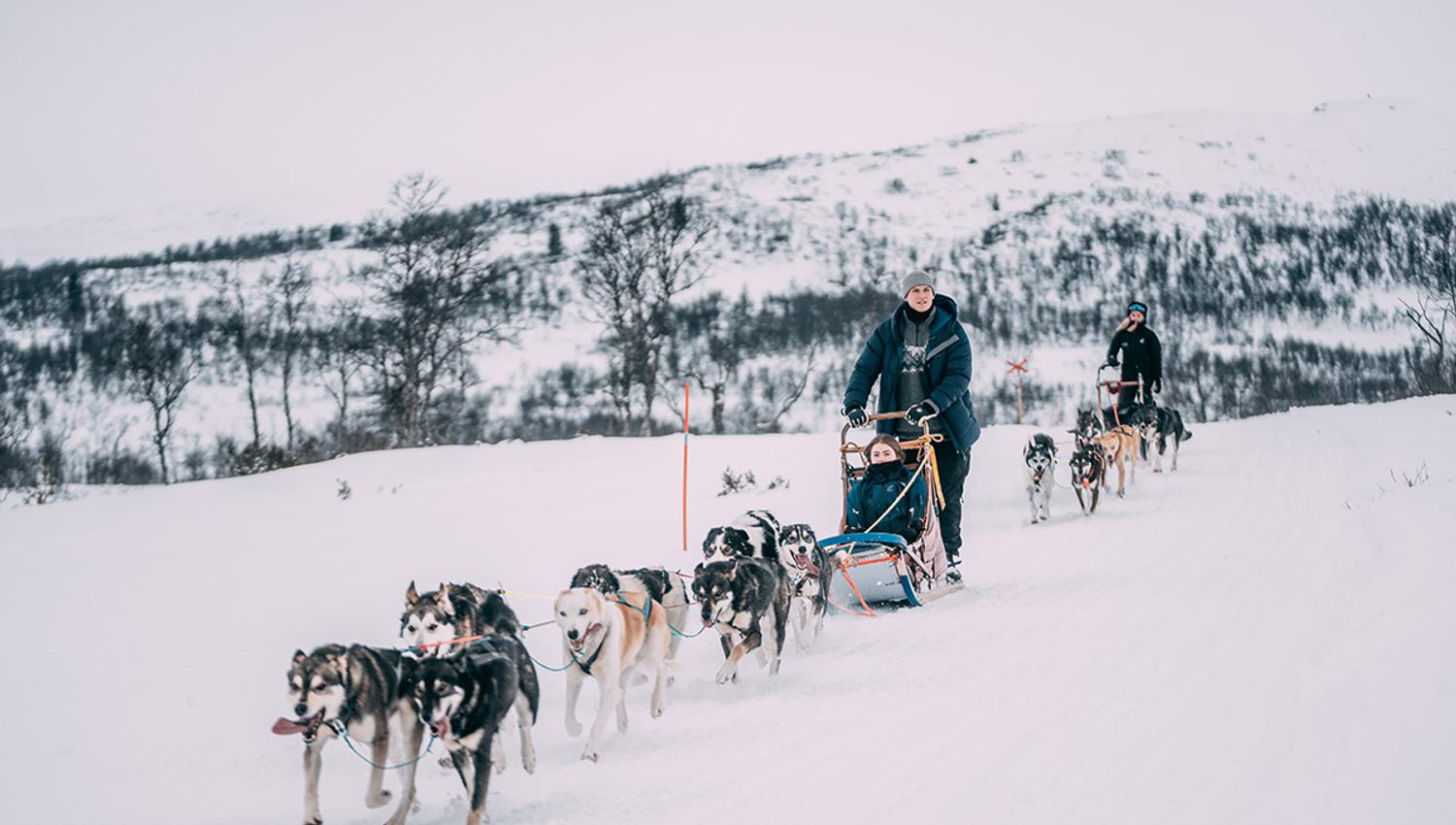 dog sledding with Telemark Husky Tour