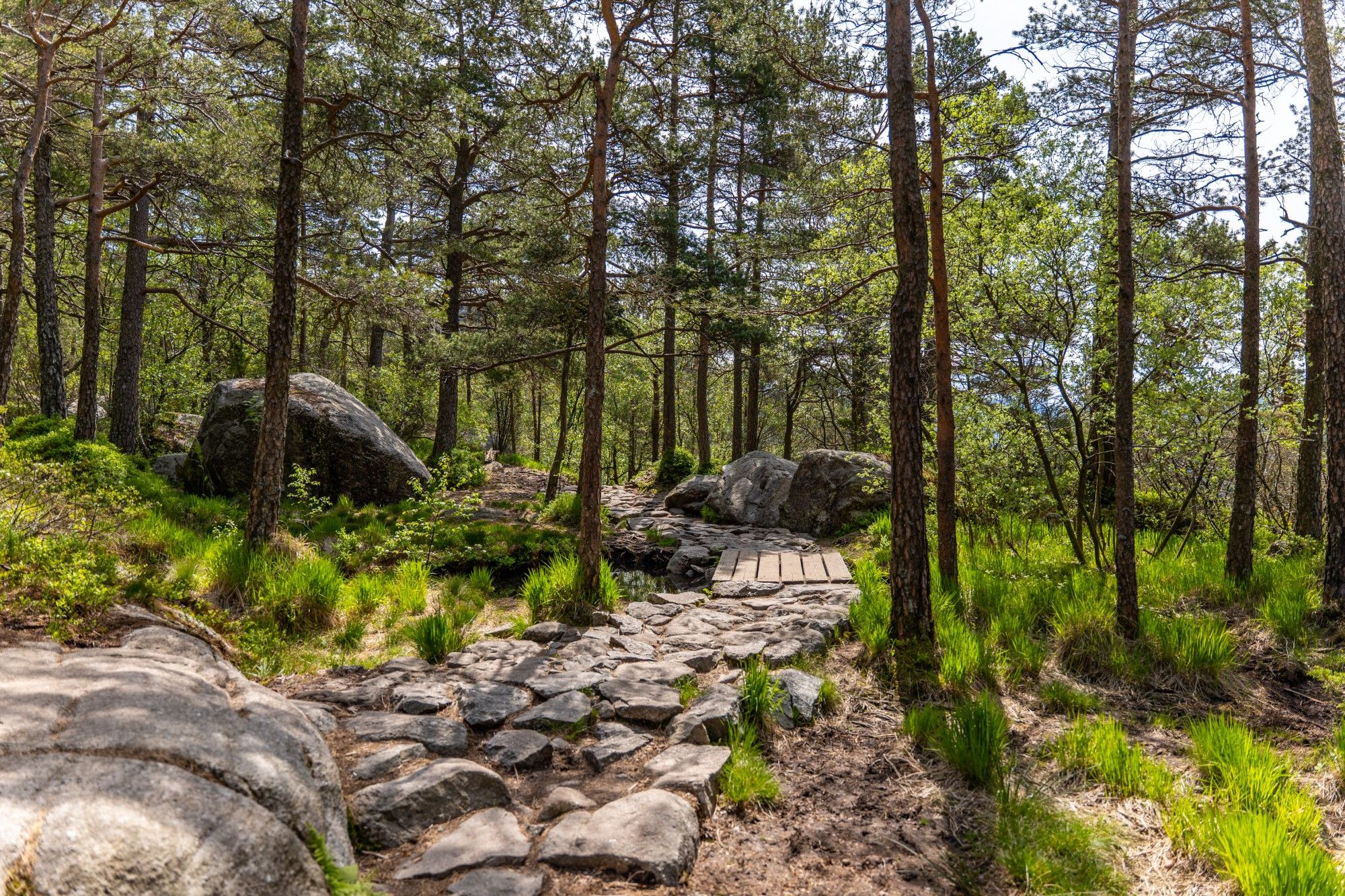 Du møter flott natur på vei opp