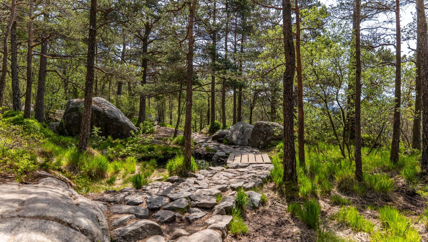 Du møter flott natur på vei opp