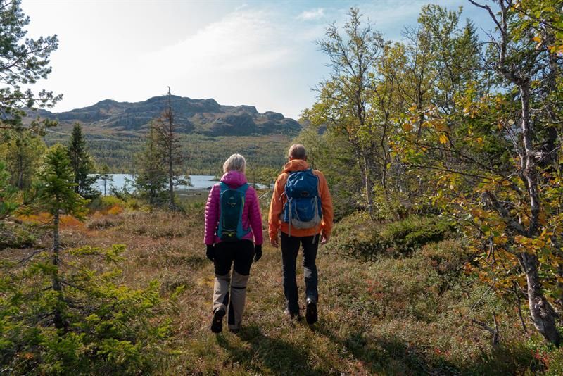 Om høsten kan man være så heldig å få et par modne bær med seg på turen. Ikke plukk kart.