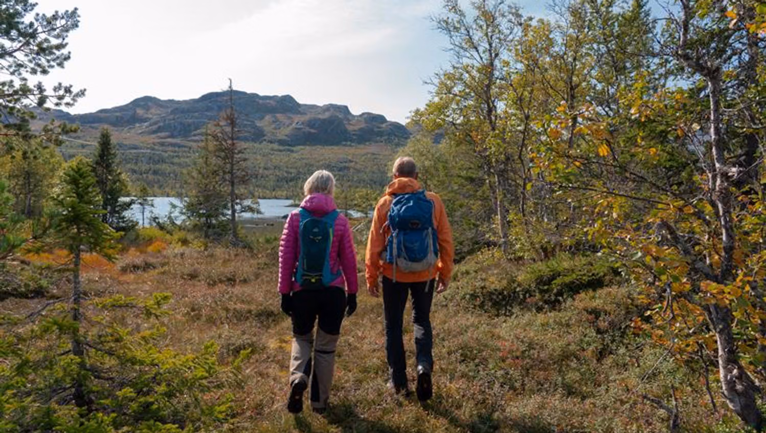 Om høsten kan man være så heldig å få et par modne bær med seg på turen. Ikke plukk kart.