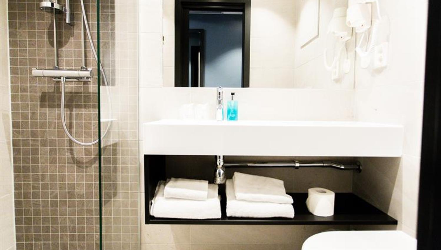 bathroom in one of the rooms: sink, toilet and shower