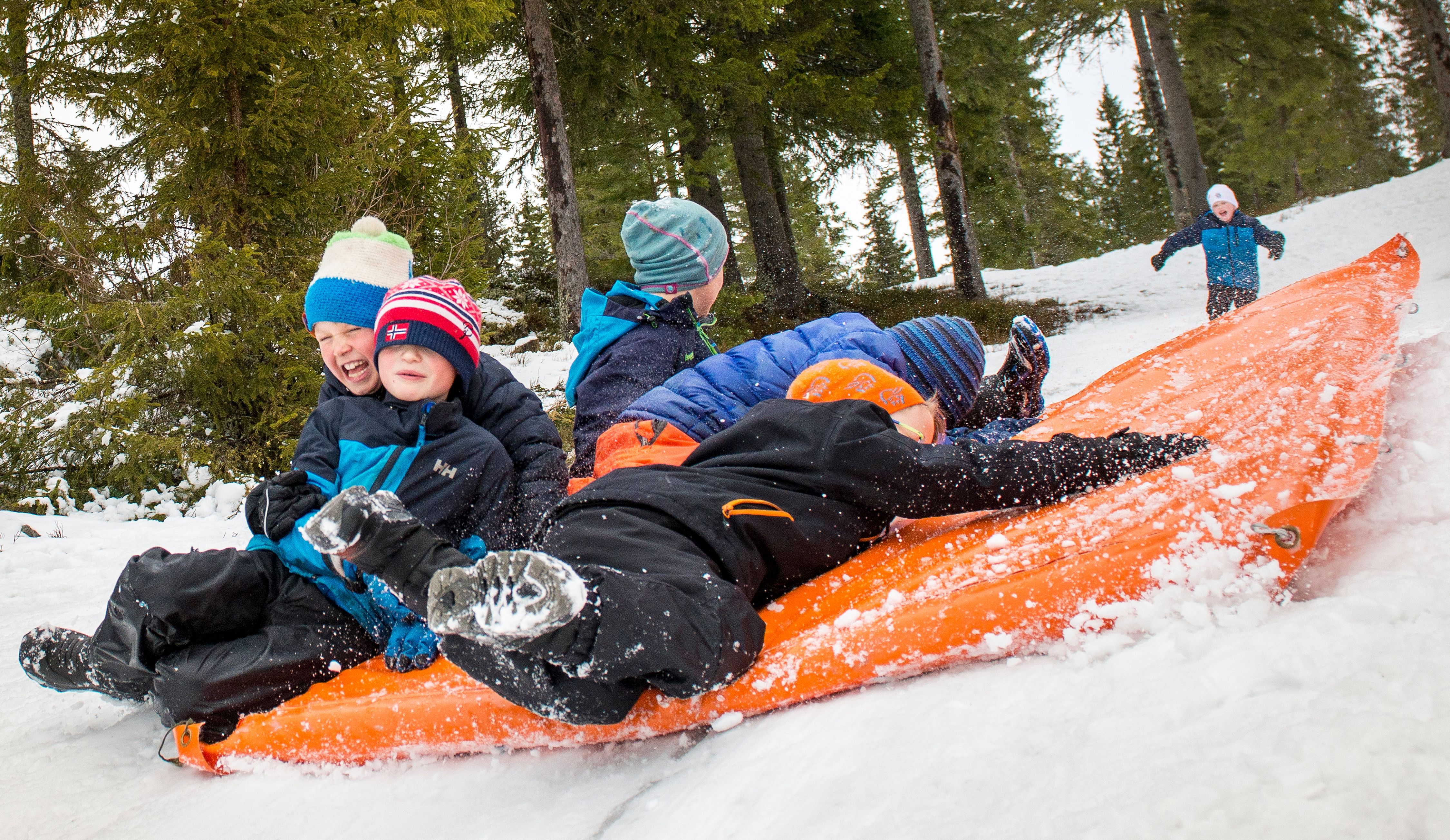 Akebakke på Ringkollen