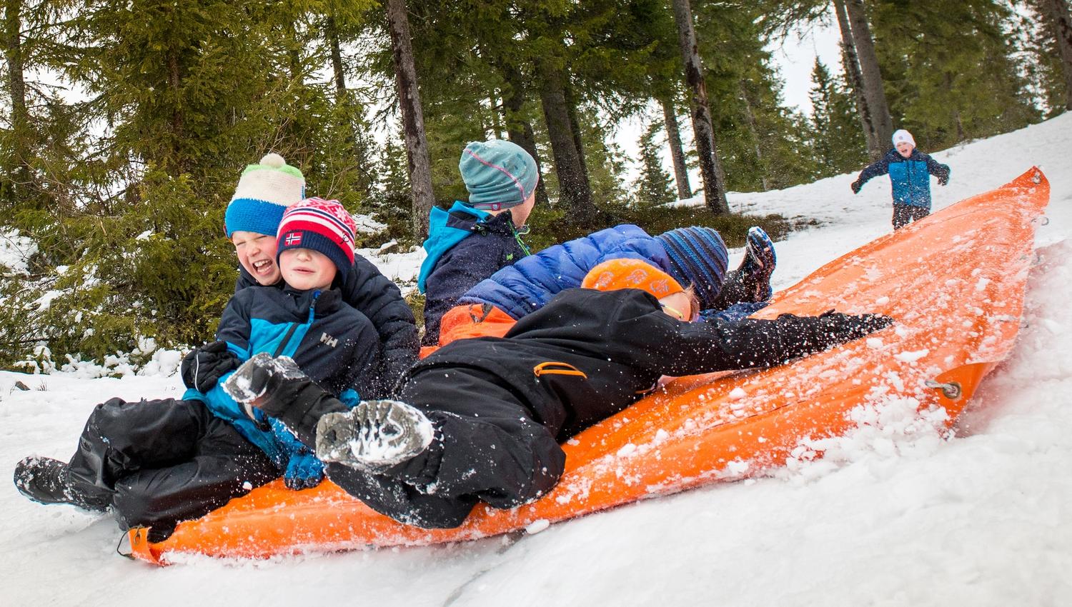 Akebakke på Ringkollen