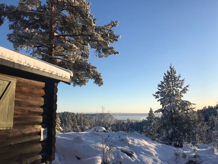 Brun tømmerhytte i vinterlandskap, utsikt til Kolsåstoppen