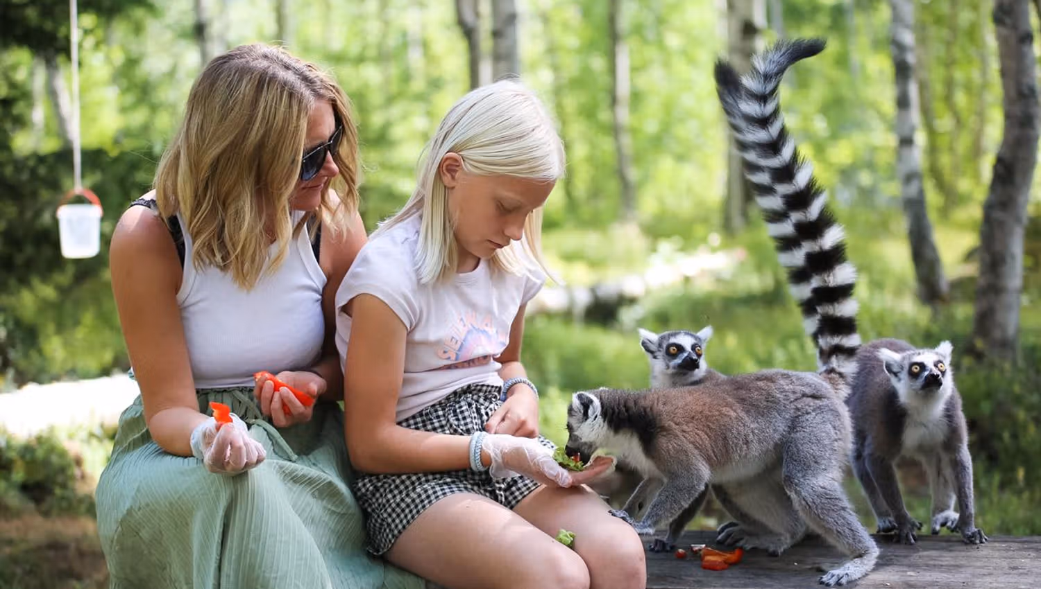 Mor og datter mater dyrene i Tangen Dyrepark