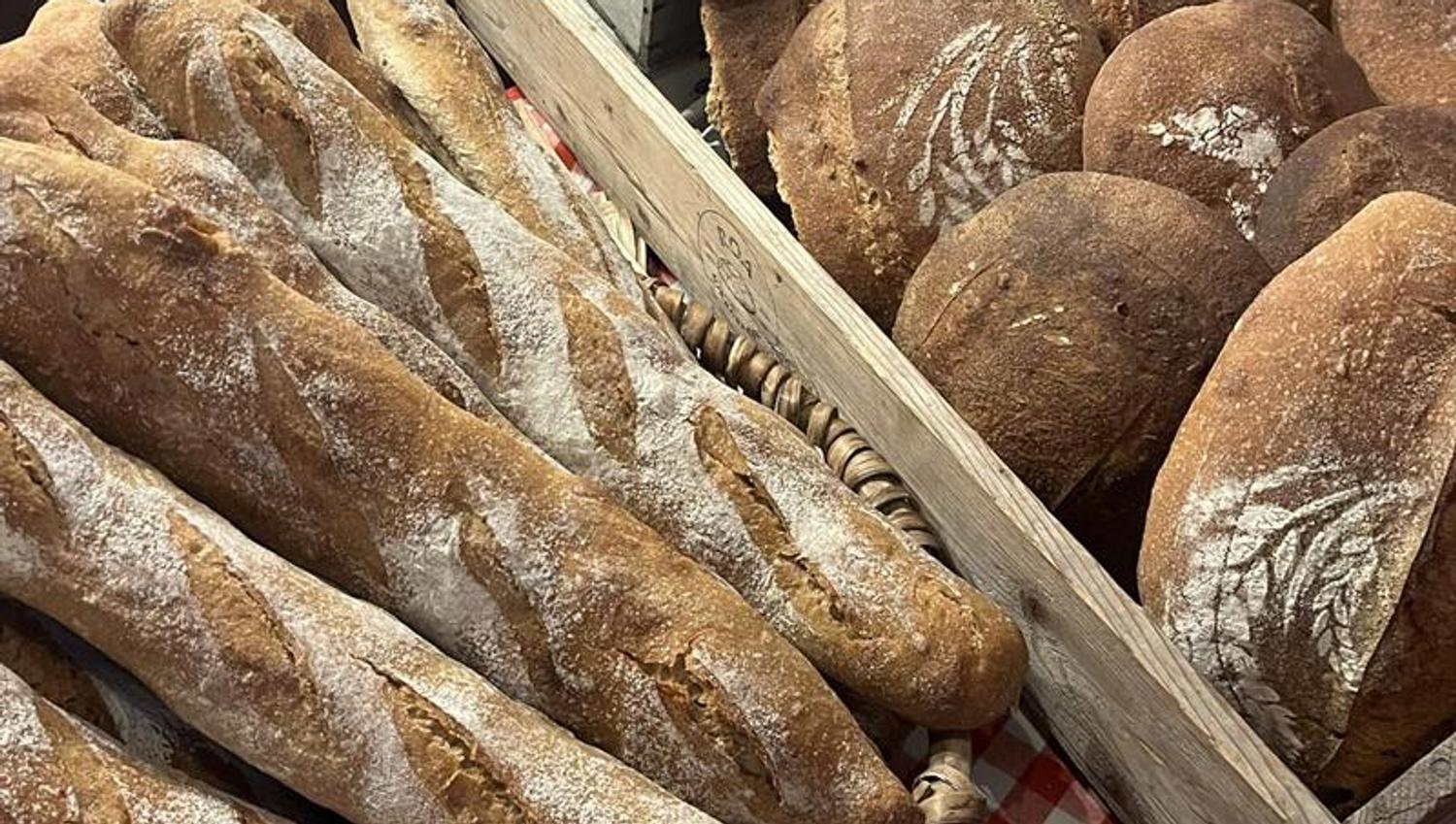 Freshly baked