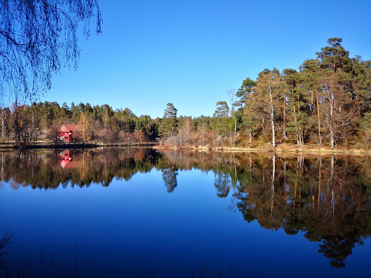 Tjenna turområde