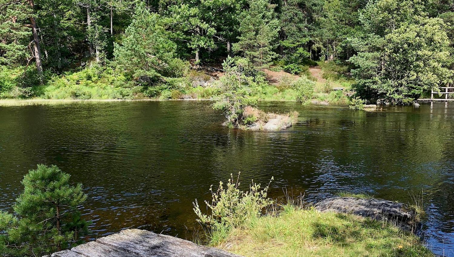 Kaldvell rekreasjonsområde Lillesand tursti rasteplass