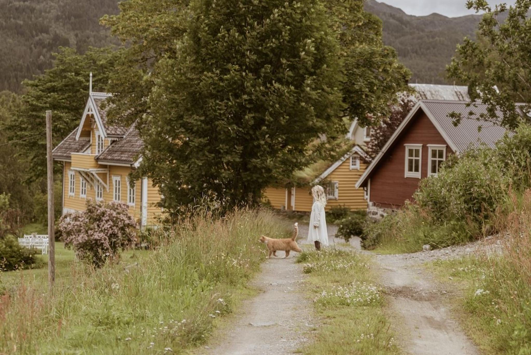Nordfjord Farm Visit