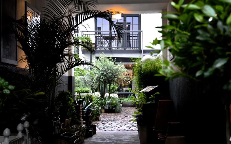 Bakgård med diverse planter.