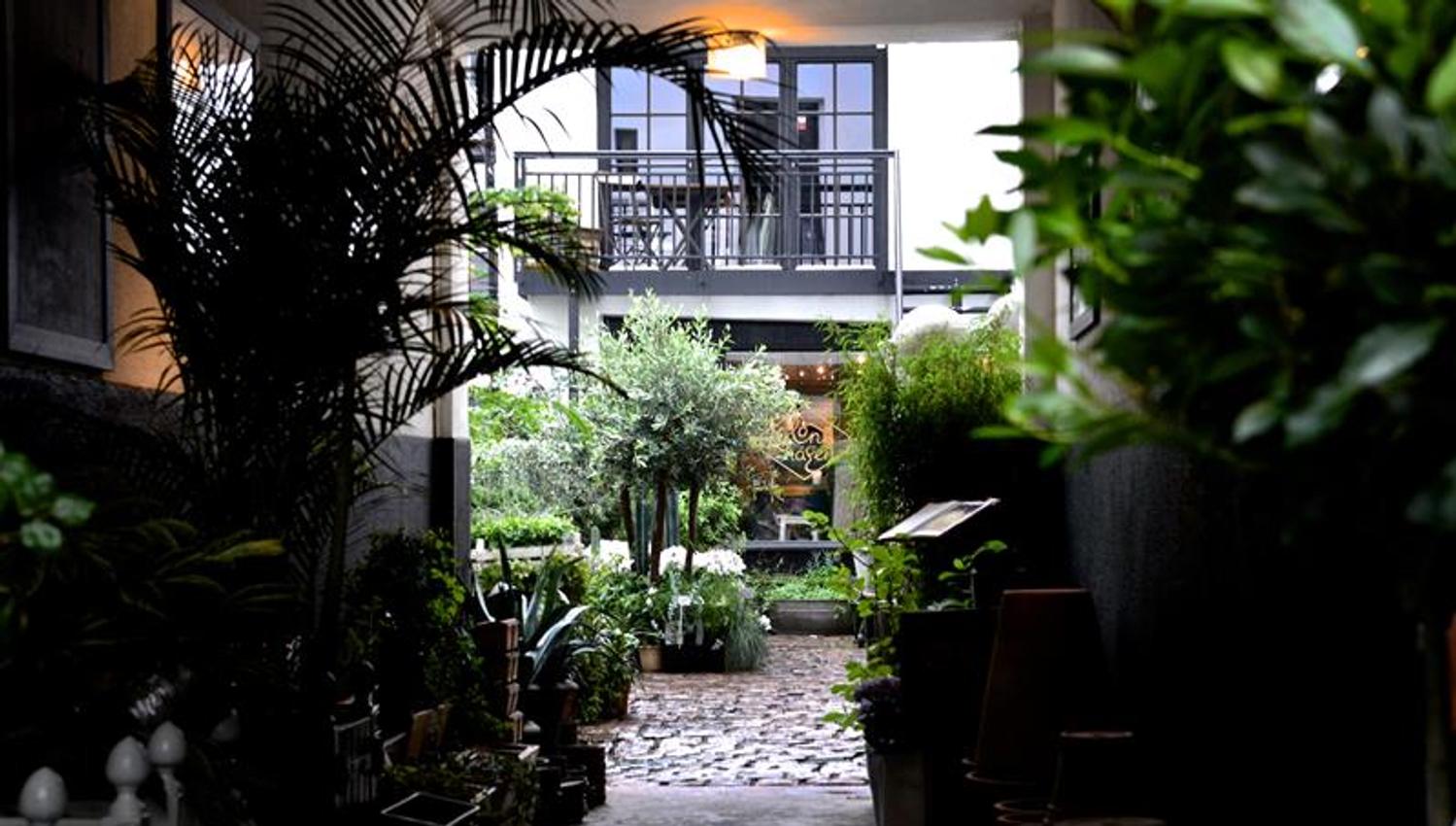 Bakgård med diverse planter.
