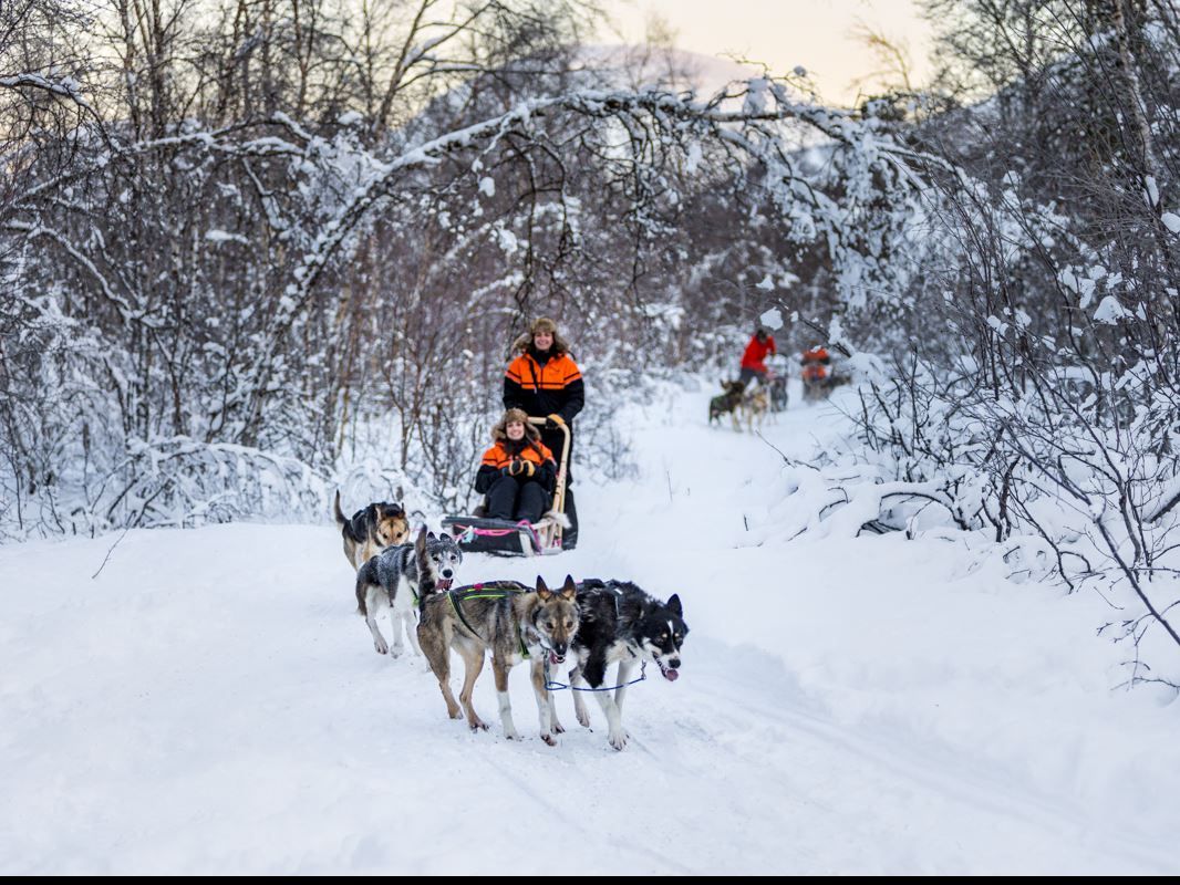 Bilde av sledefører og gjest på sledeløypa i Tamokdalen