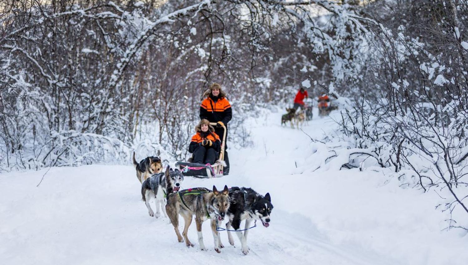 Bilde av sledefører og gjest på sledeløypa i Tamokdalen
