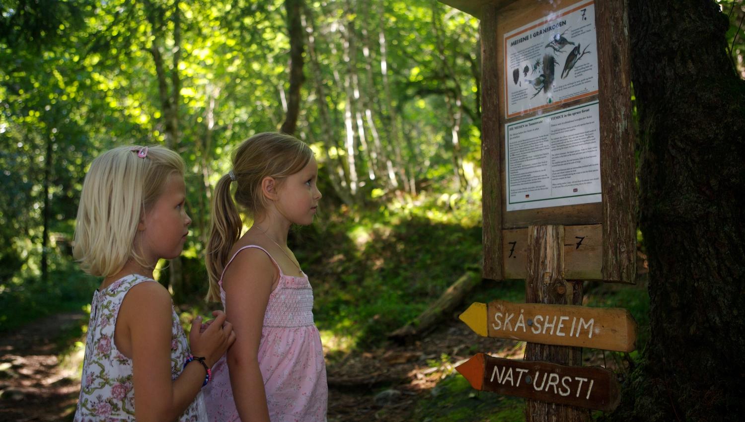 Natursti (familietur) Balestrand