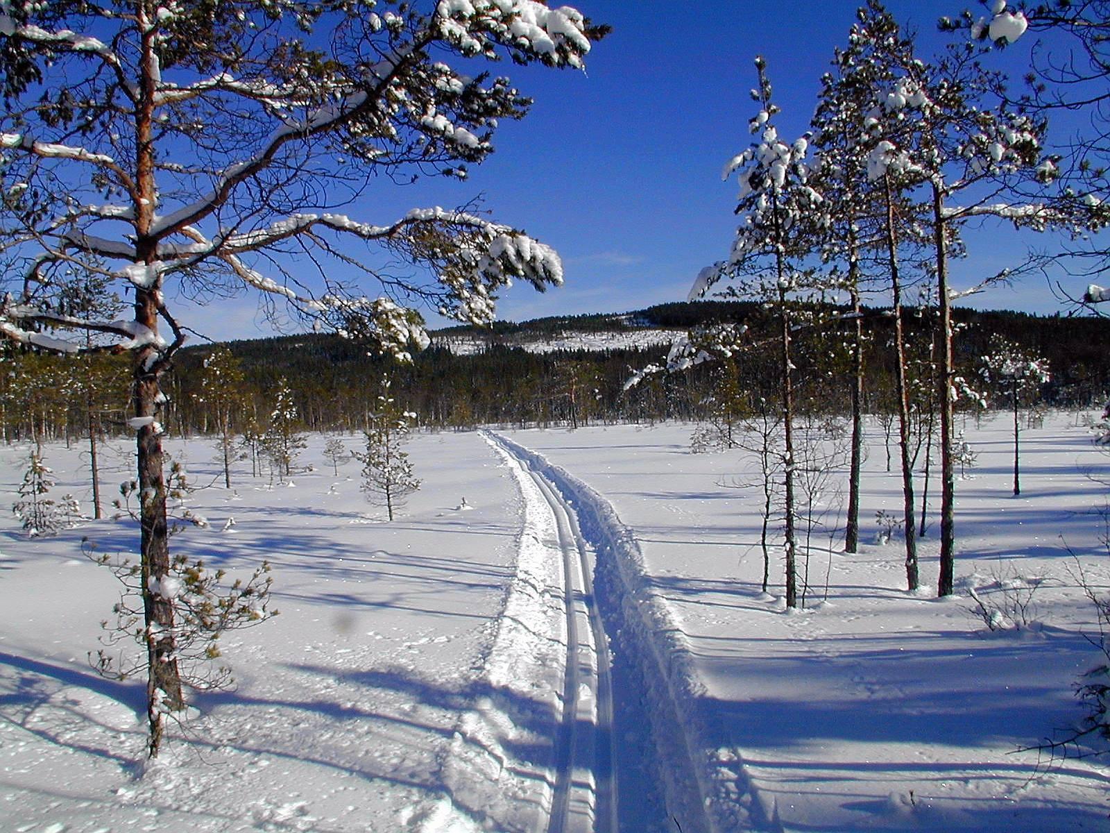 Cross-country skiing in Våler