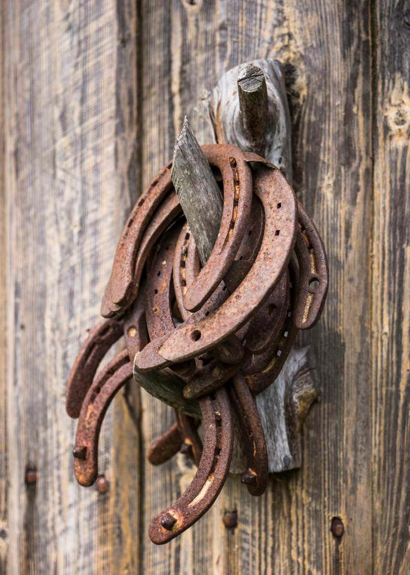 horse shoes
