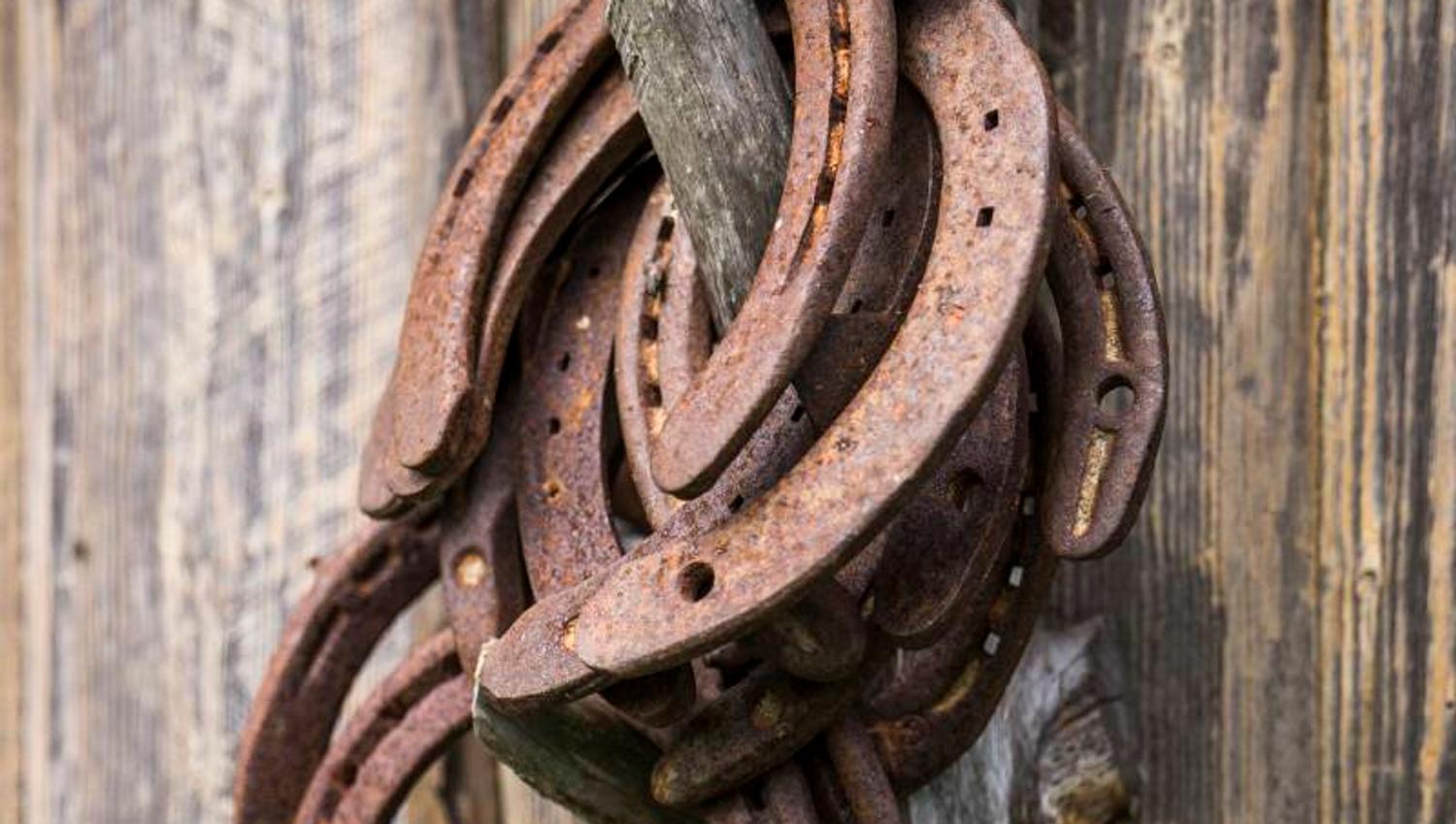 horse shoes