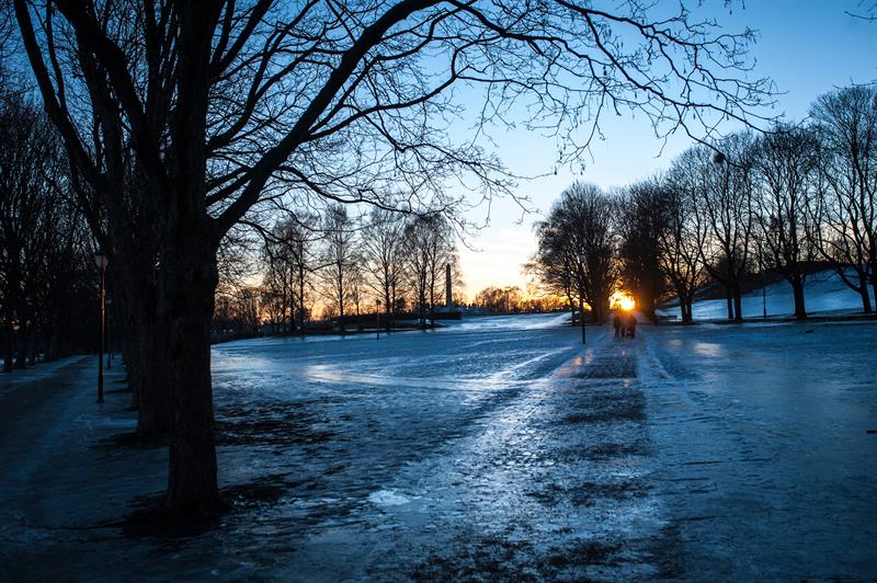 The park during sunset.