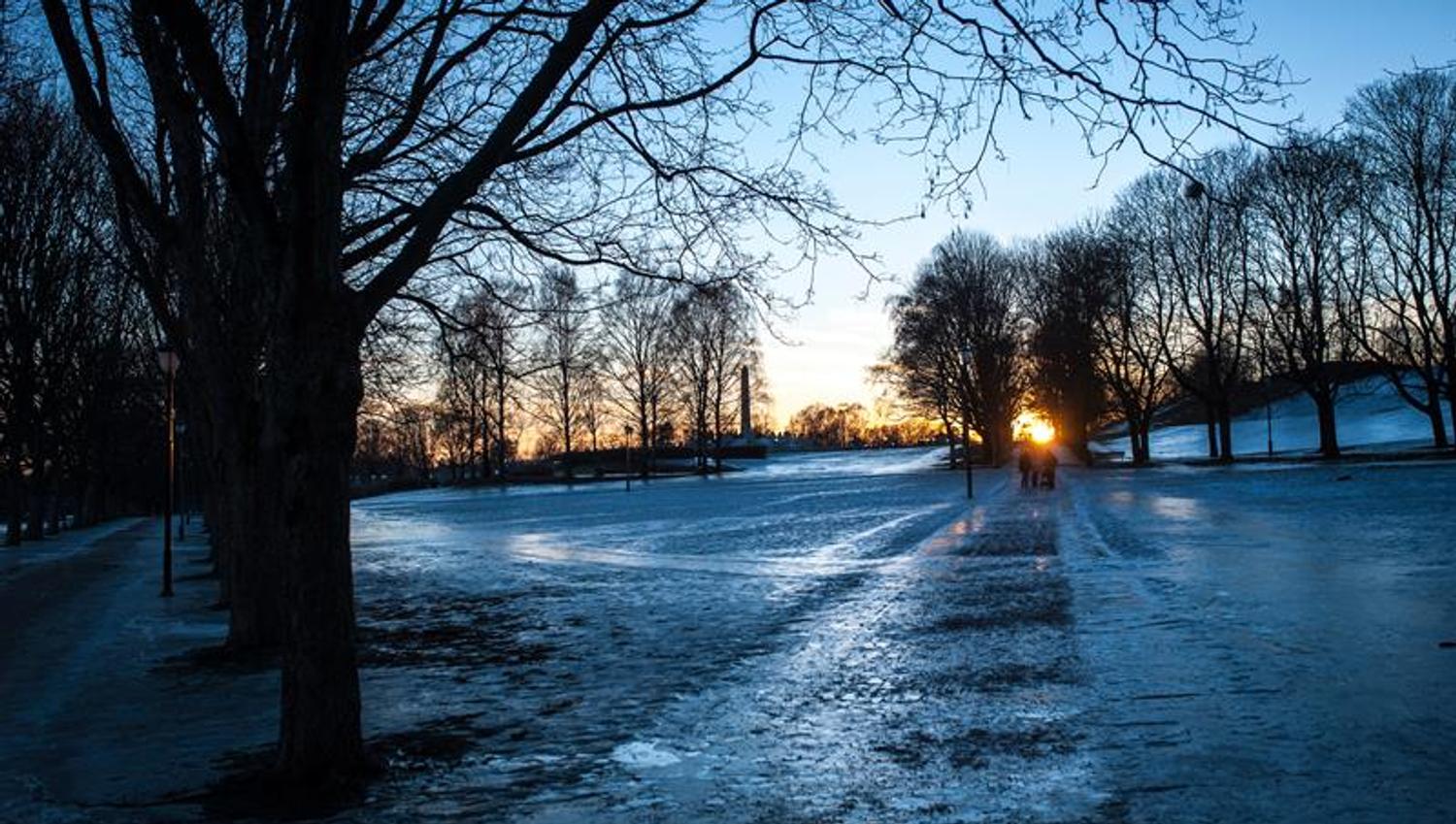 The park during sunset.