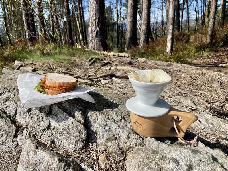 Guided mountain hike in Bergen including lunch