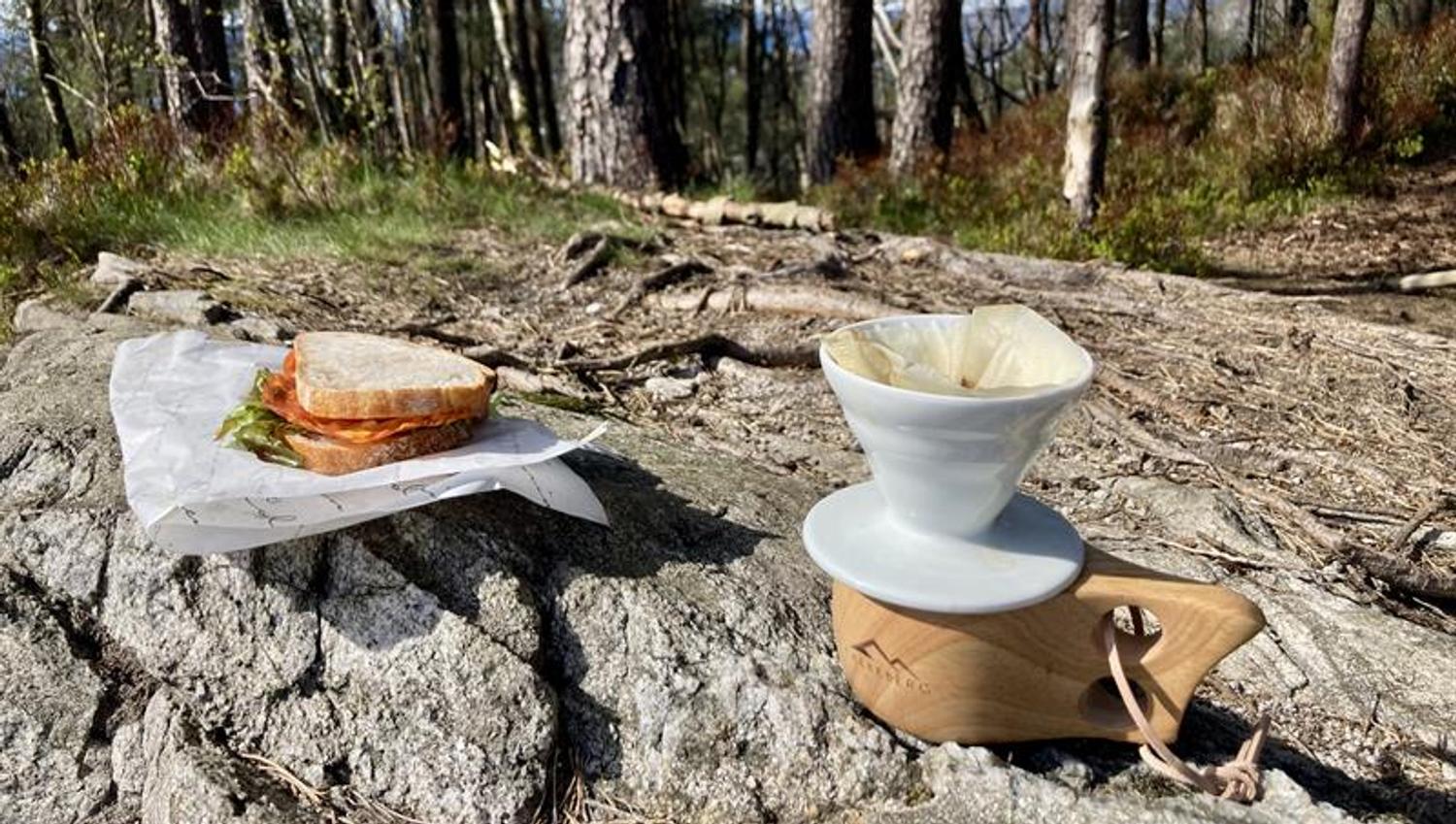 Guided mountain hike in Bergen including lunch