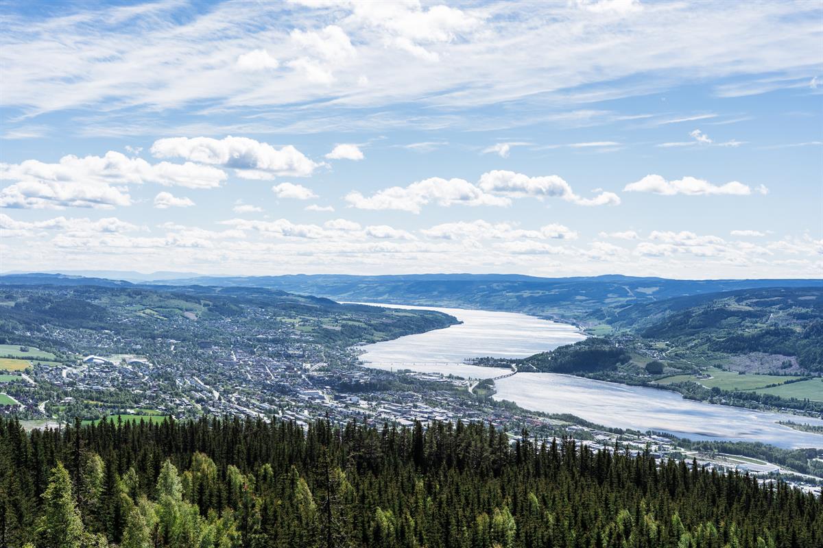 Panoramic view of valley, lake, and forest.