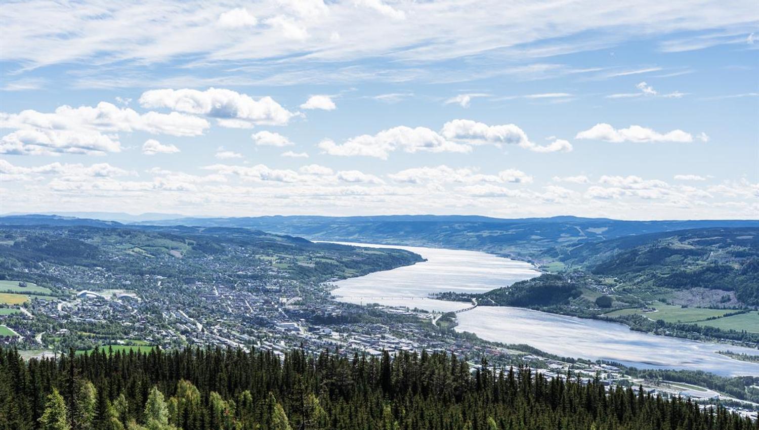 Panoramic view of valley, lake, and forest.