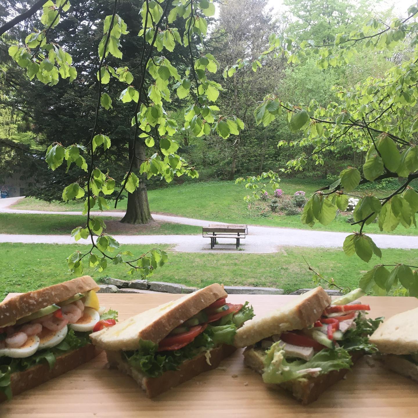 Enjoy tasty sandwiches in the park
