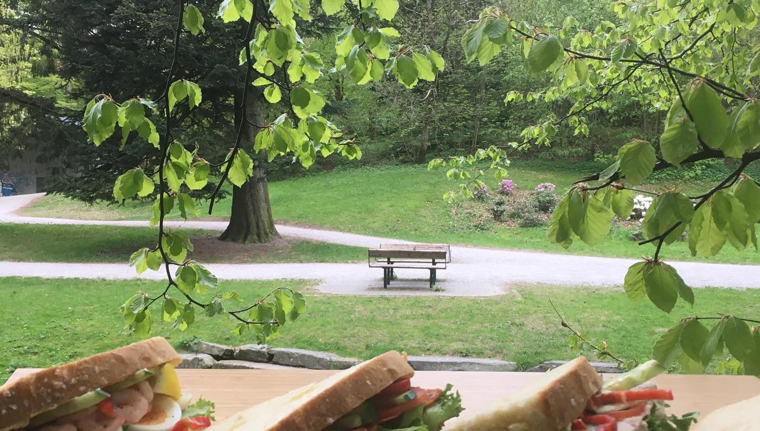 Enjoy tasty sandwiches in the park
