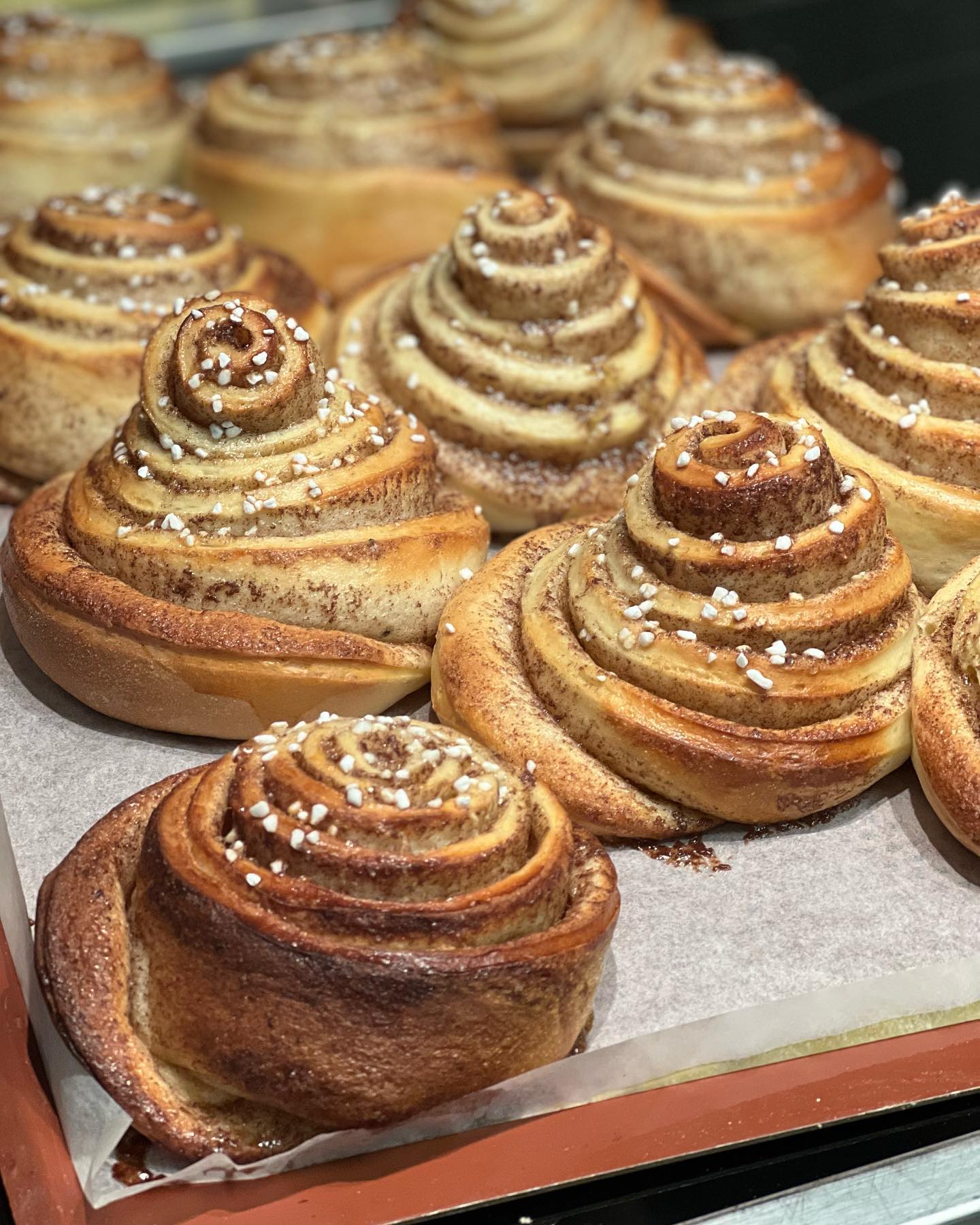 A tray of freshly baked cinnamon rolls