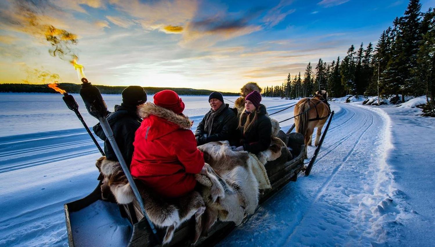 horse sleigh riding, ringsaker, hamar lillehammaer
