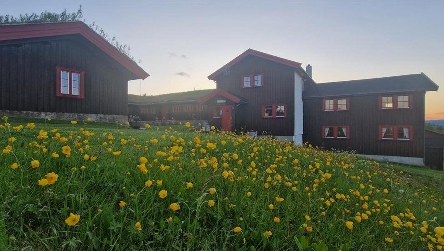 Skotten Seter