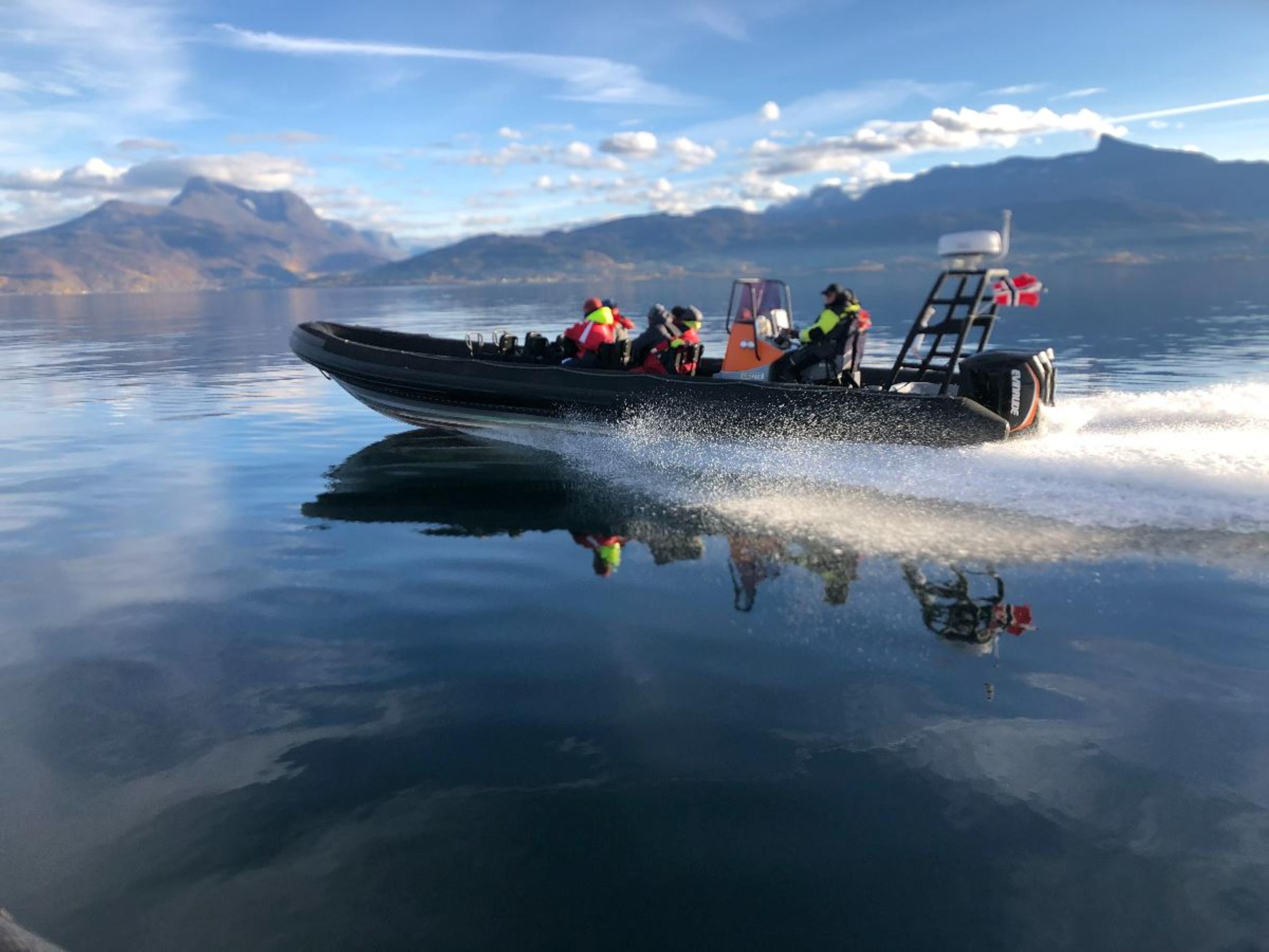 RIB Safari