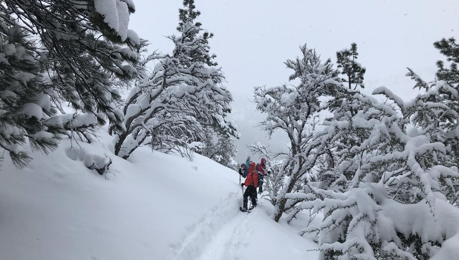 Guests out on snowshoeing trip in daylight