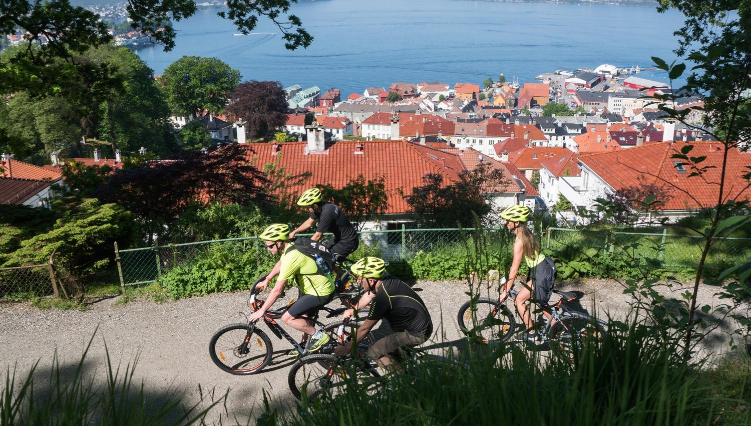 See Bergen from your bike