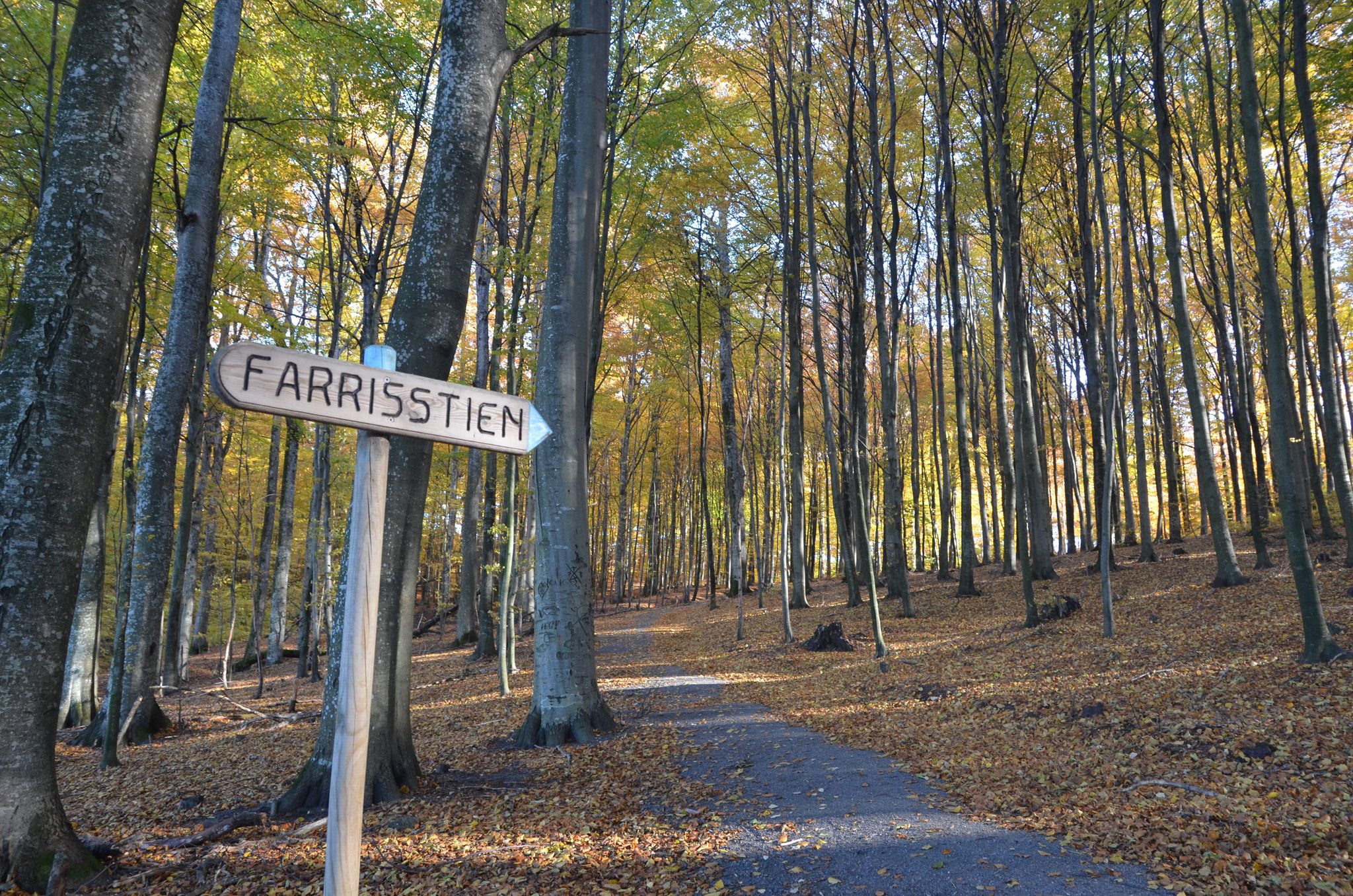Sign from the beech forest to the Farris lake